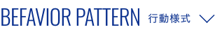 BEFAVIOR PATTERN 行動様式